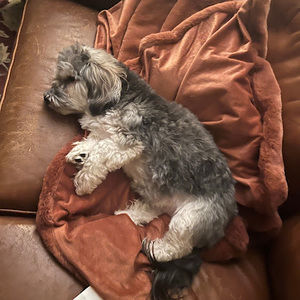 Meet your Posher, Casey